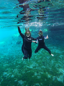 Dive into Crystal River's clear waters!